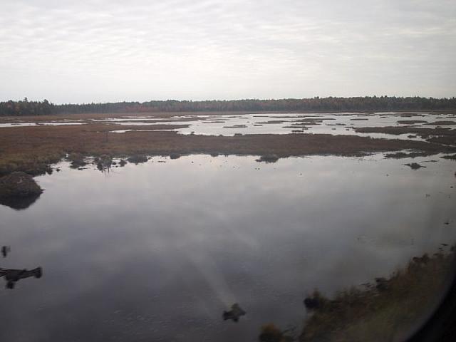 Marshland