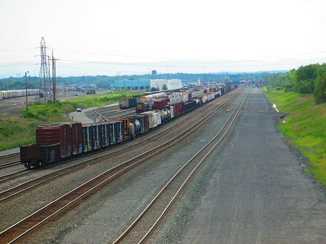 Expansive view of the yard